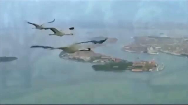 Валерий Залкин - ЖУРАВЛИ