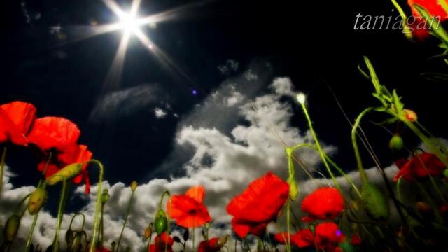 ТИ И АЗ - Бисер Киров