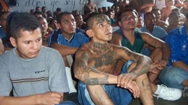 ms 13 gangsters