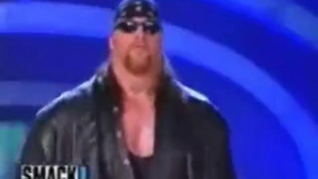 W W F / The Undertaker vs Kane vs Stone Cold Steve Austin