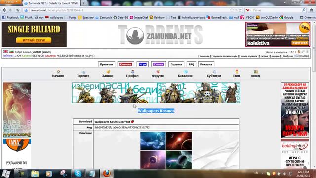 Кой browser предпочитате