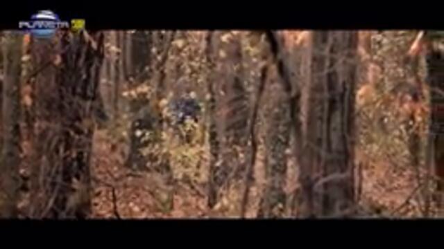 DENIS TEOFIKOV - MILO MOE ⁄ Денис Теофиков - Мило мое, 2018