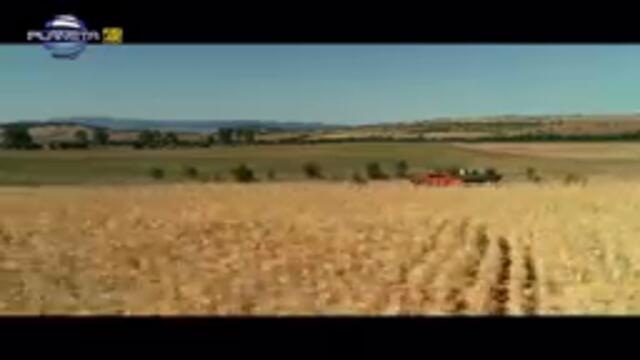 KALI - FIESTA ⁄ Кали - Фиеста, 2019