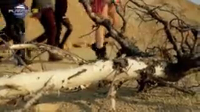 RAYNA - LITSEMERI ⁄ Райна - Лицемери, 2014