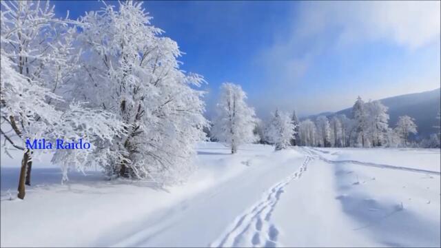 НЕ ГОРИ, НЕ ГОРИ МОЯ ДУША!