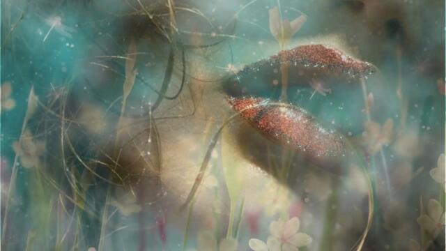 MASHA OPAS   -    ГУБ ЧУЖИХ НЕ ЦЕЛУЮ...