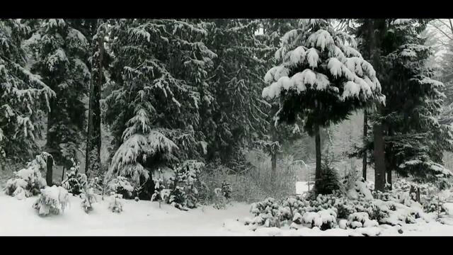 Андрей Фелер - Февраль