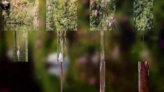 ЧАРУЮЩАЯ МУЗЫКА!!! Рождественской ночью!