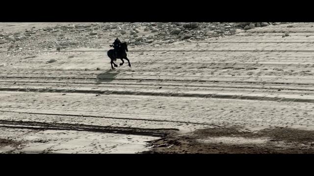 Edward Maya & Emilia - Harem feat Costi  (Official Video)