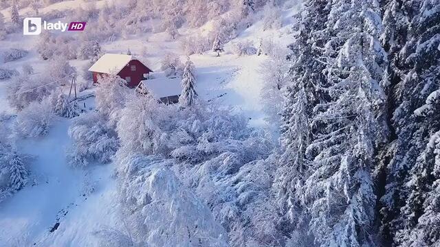 Коледни съмнения Christmas Wedding Runaway   (2019) Бг Аудио ( Високо Качество) Част 1