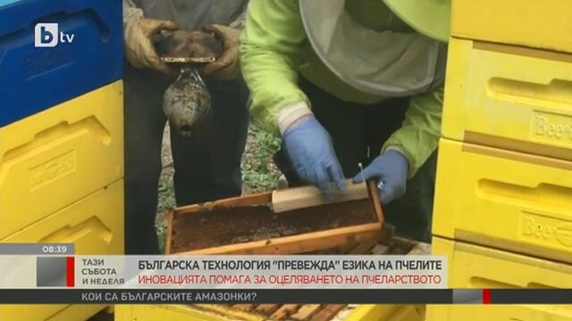 Българска технология -превежда- езика на пчелите - bTV-19.1.2020