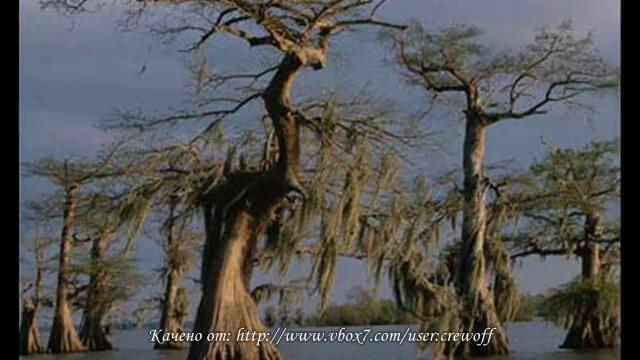 Най-странните създания на майката природа