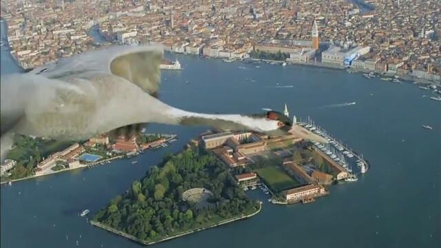 Жерави Летят Над Венеция - Удивителна Гледка!