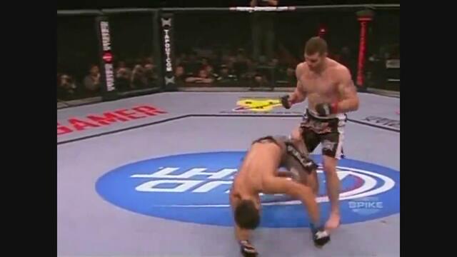 MMA  - Brutal Sport