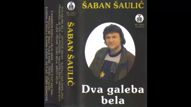 Saban Saulic - Lepotica grada - (Audio 1979) HD
