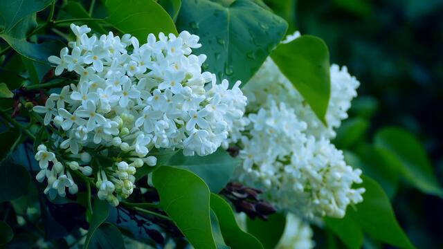 ВероНика  -  БЫЛА ЛЮБОВЬ