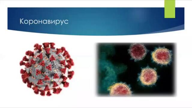 Коронавирус  особеност