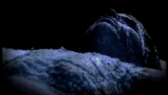 Sturm und Drang - A Million Nights