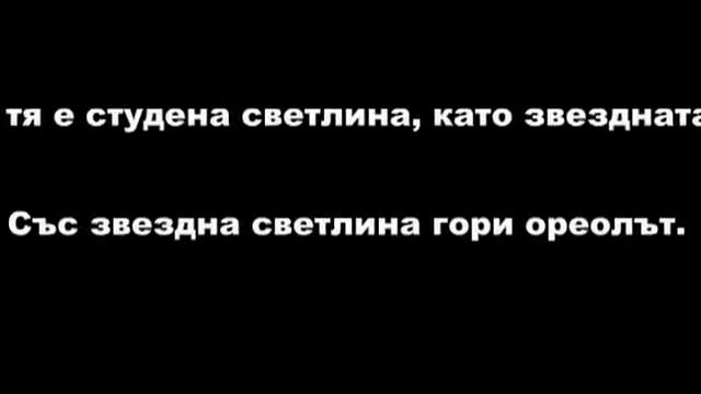 Сектор Б - Феновете на Левски София през сезон 2010/2011