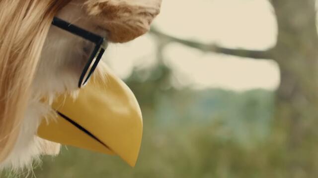 El Capon - Shut up Chicken (Official Video)