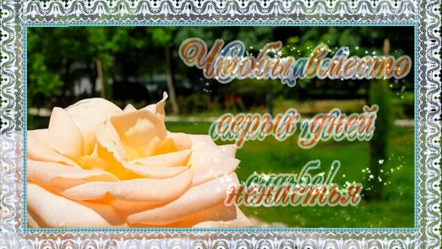 Розы для прекрасной дамы! Для тебя, Солнышко!