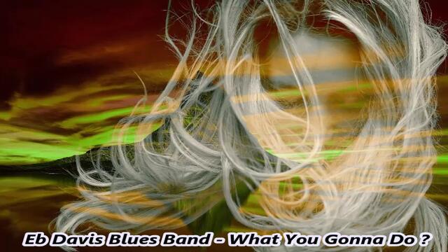 Eb Davis Blues Eb Davis Blues Band - What You Gonna Do ? / С вградени BG субтитри
