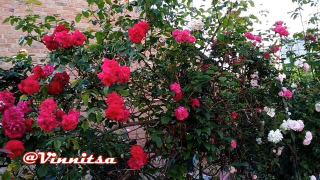 Чудовi Українські Пісні про КОХАННЯ