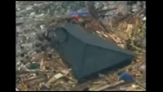 Hope Floats_ Japan tsunami dog rescued after 3 weeks adrift