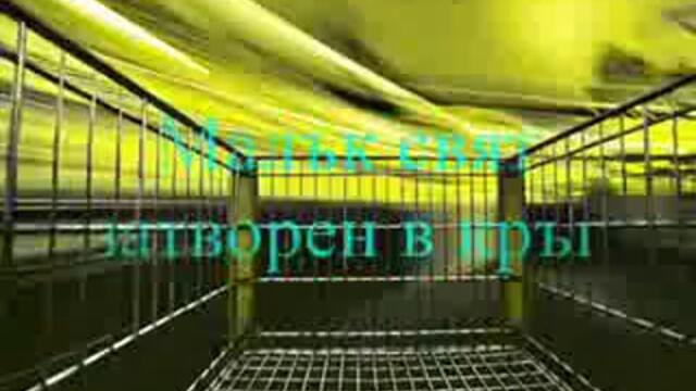 Извън отражението