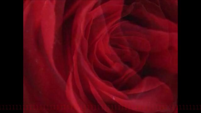 Agnes Obel - Won't You Call Me