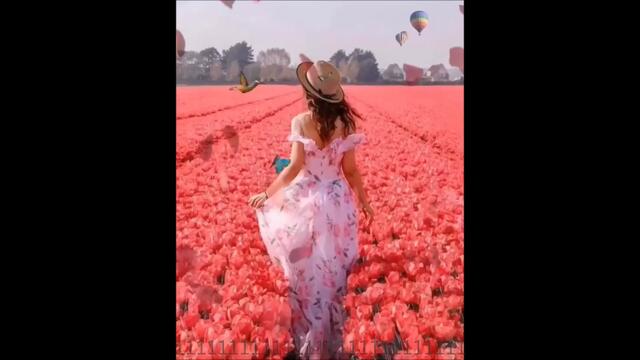 🎶 Aynsley Lister  🎶 Angel O' Mine  🎶