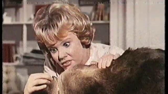 Това е Дарн Котката !!!! That Darn Cat! (1965) Disney Home Video Australia Trailer
