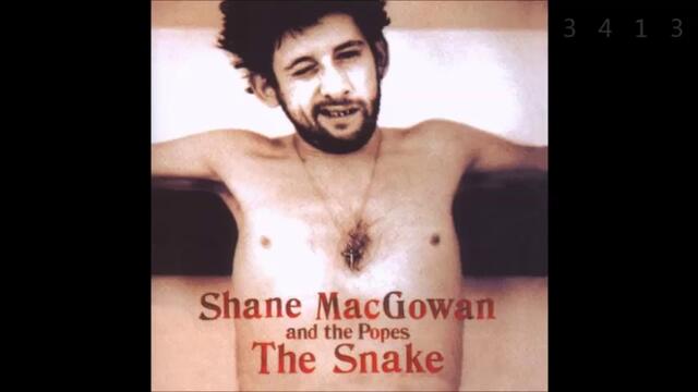 Shane Macgowan & The Popes - The Snake - full album