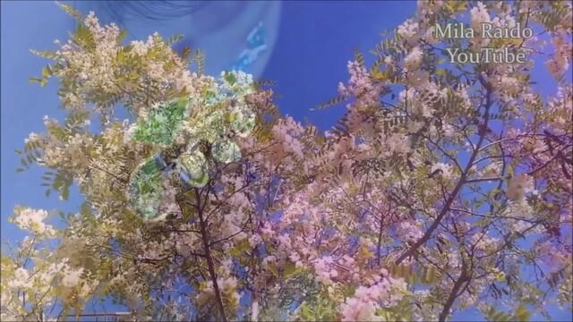 Доброе Утро! Красивая Песня! Голос Завораживает!