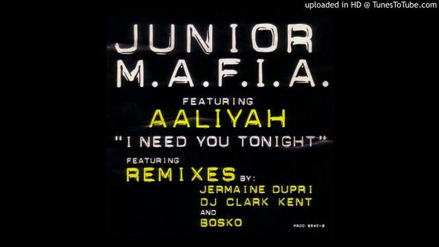 Junior M.A.F.I.A. - I Need You Tonight [So So Def Remix] (feat. Aaliyah)