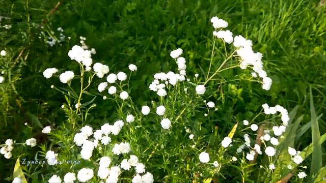 Пролетело короткое лето