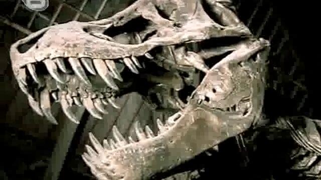 Праисторически Парк Епизод 1 Част 1 (Високо Качество) Спасяването на Тиранозаврите