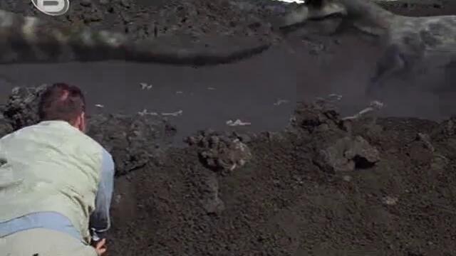 Праисторически Парк Епизод 1 Част 2 (Високо Качество) Спасяването На Тиранозаврите