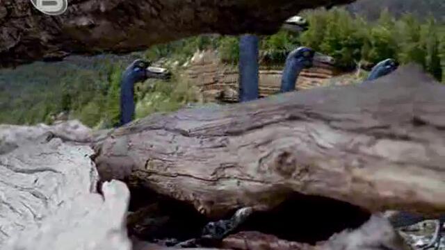 Праисторически Парк Епизод 1 Част 3 (Високо Качество) Спасяването На Тиранозаврите