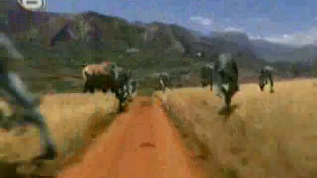 Праисторически Парк Епизод 2 Част 1 (Високо Качество) Спасяването На Мамута