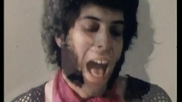 Mungo Jerry - In The Summertime