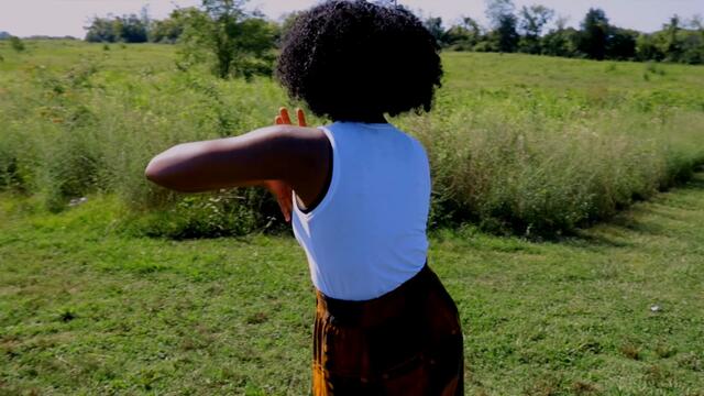 Kusvika Pa Rufu - Brian Nhira (Official Video)