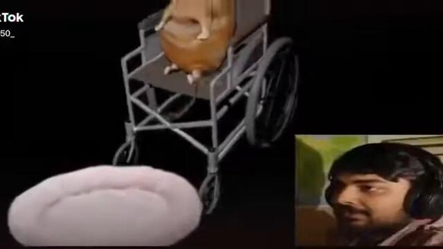 Смях