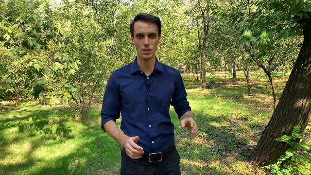 Почему я не ставлю площадки и окна перед выборами