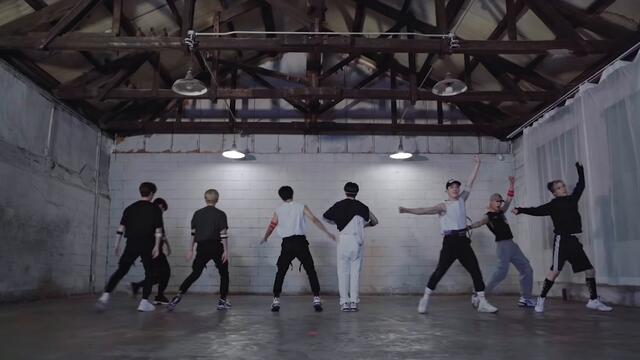 Stray Kids "Back Door" Dance Practice Video