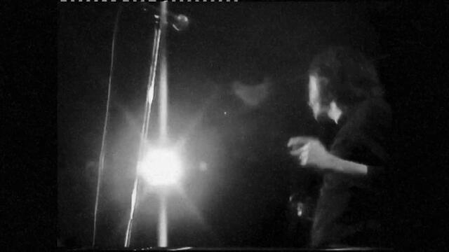 Powderfinger - Day By Day (Official Video)