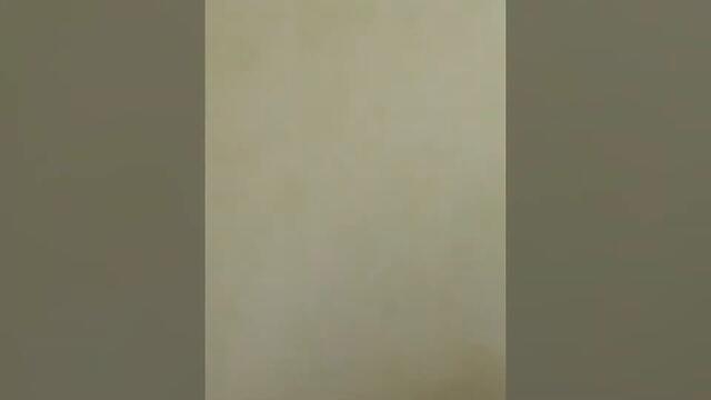 Кошмар в полнолуние в Севастополе, Безумная погоня за самокатчиком и красота Южной бухты