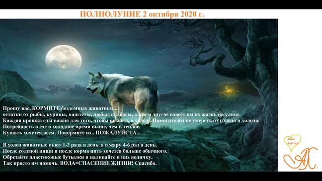 Полнолуние 2 октября 2020 года для всех Знаков Зодиака!