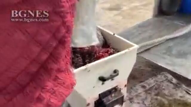 Виноградец - прелива от грозде