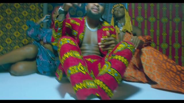 Two tigers_ Shakara (Official Video)